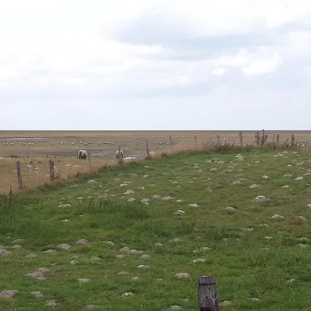 Ferme De La Ruette Courtils